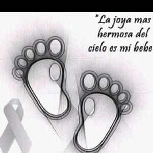 Meet your Posher, Karol